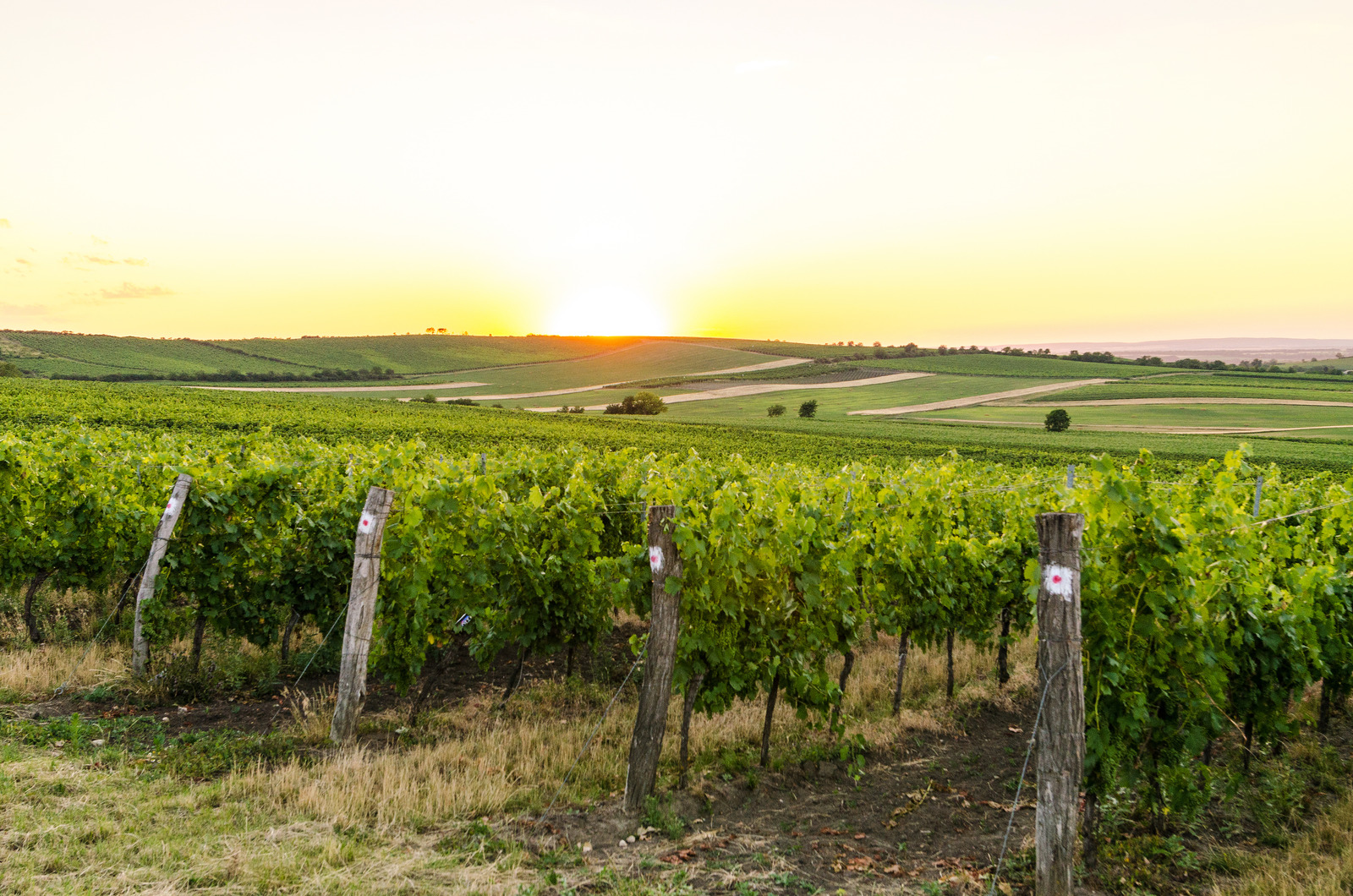 Best Uruguay Tours