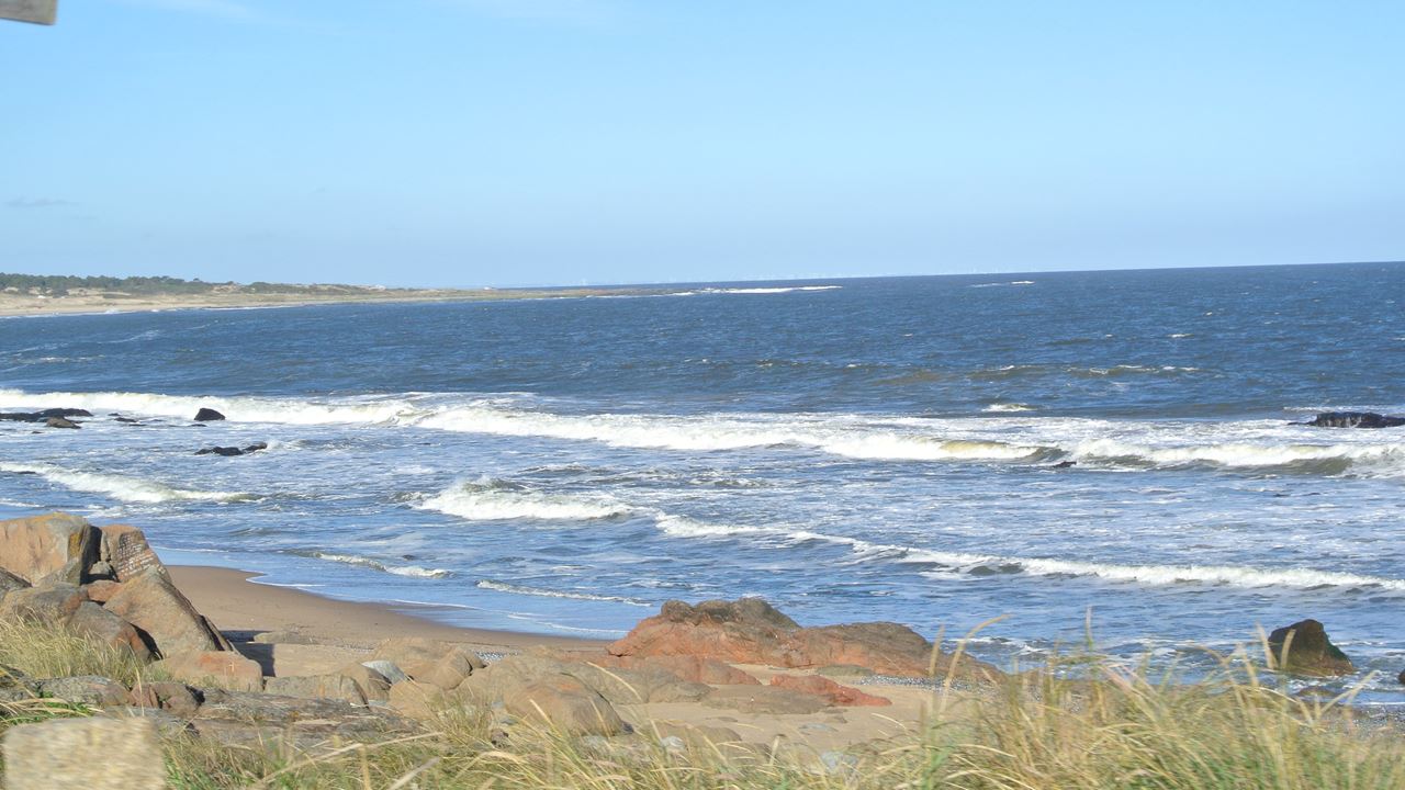 Cabo Polonio City Tour + Beach foto 4