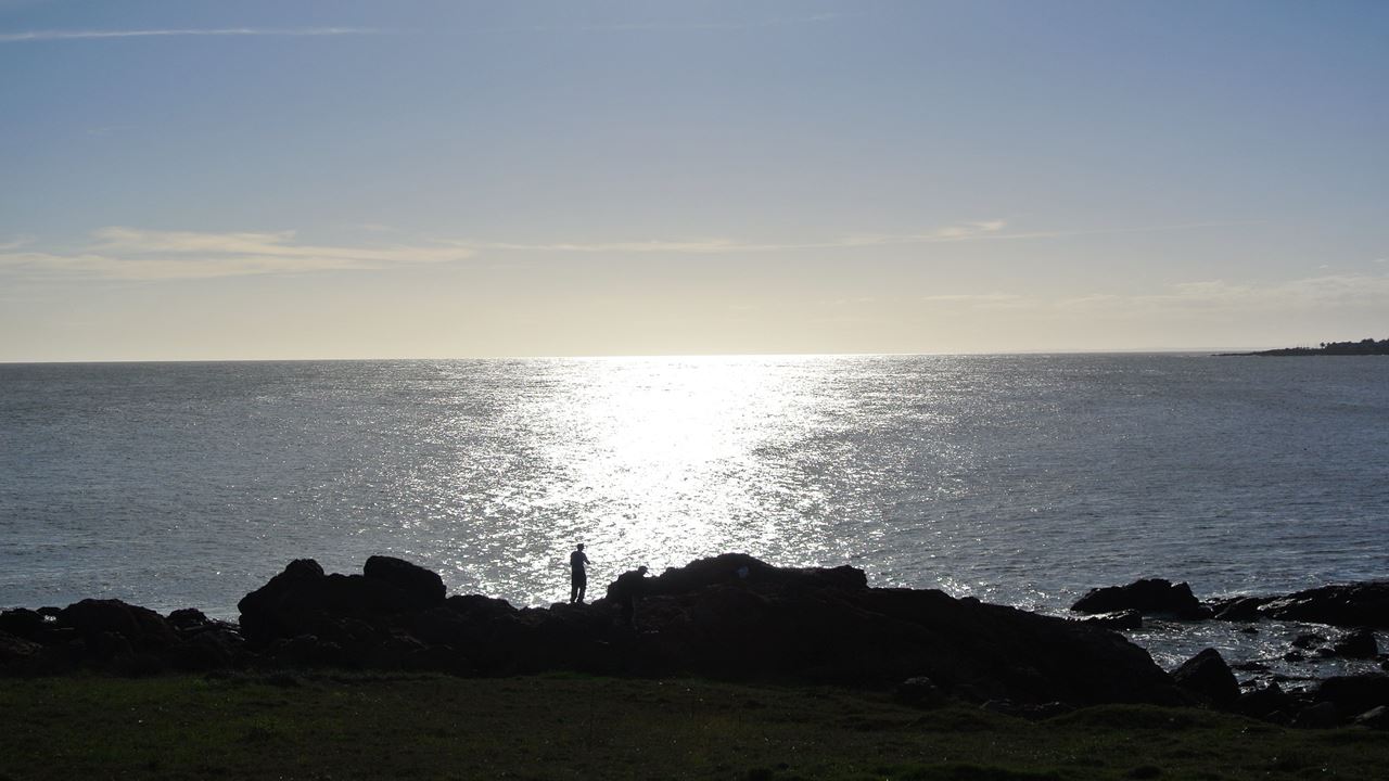Cabo Polonio City Tour + Beach foto 9