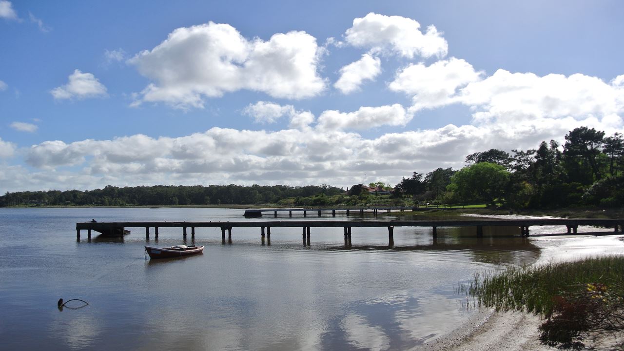 Cabo Polonio City Tour + Beach foto 7