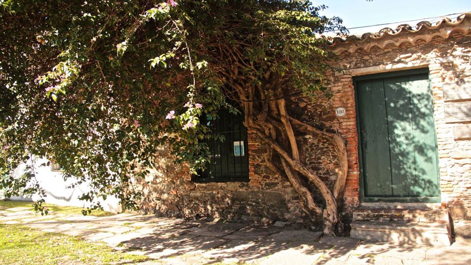 City Tour Exclusivo Colonia Del Sacramento foto 5
