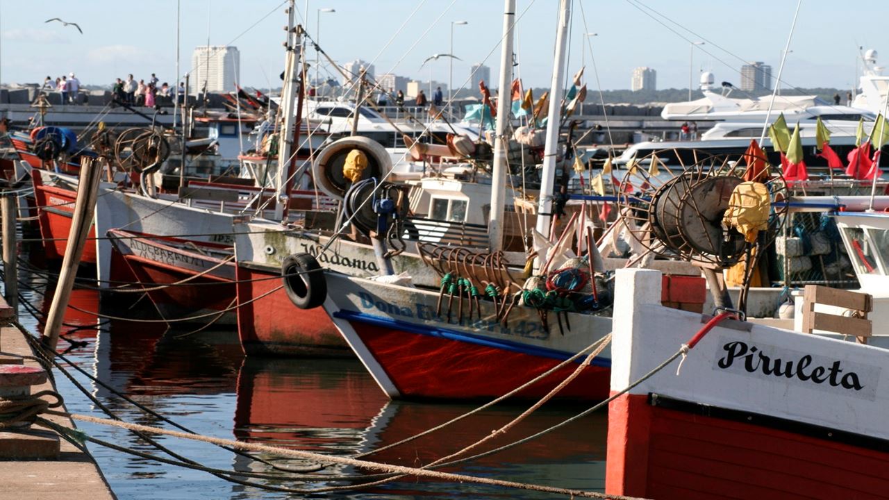 City Tour Piriapolis foto 6