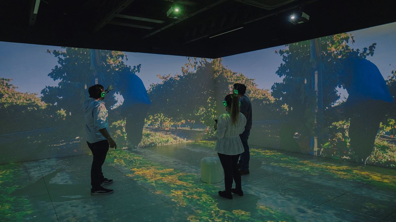 Degustacion Con Almuerzo (1)