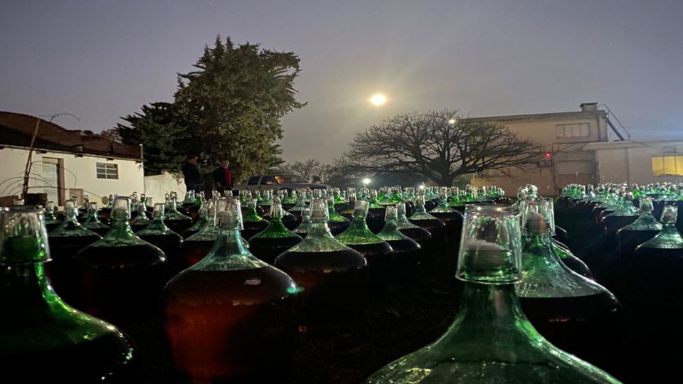 Wine Tasting At Santa Rosa Winery foto 7