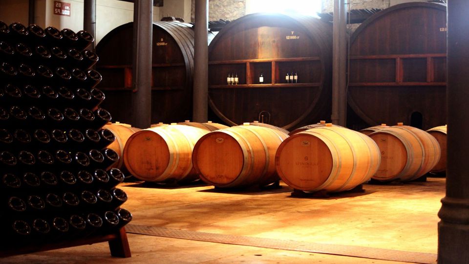 Wine Tasting At Spinoglio Winery foto 2