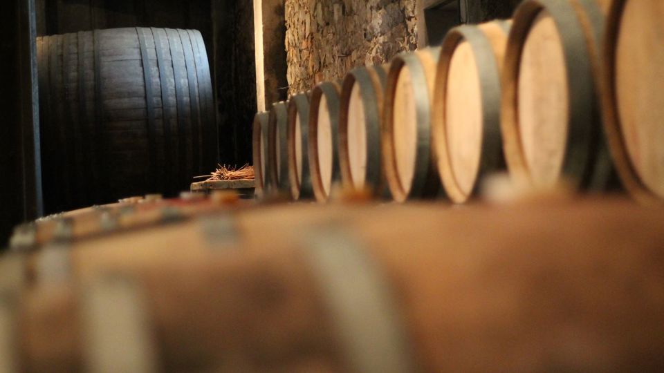 Premium Wine Tasting At Spinoglio Winery foto 3