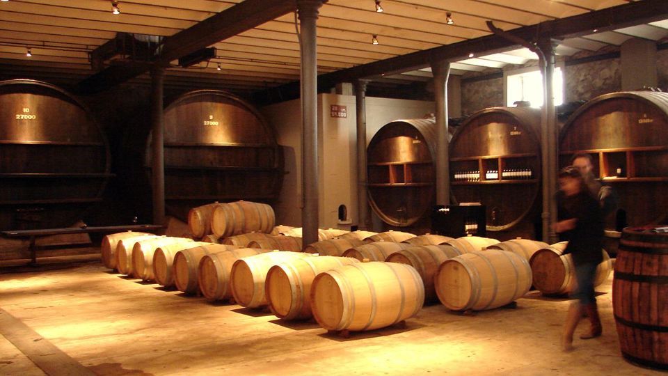 Premium Wine Tasting At Spinoglio Winery foto 1