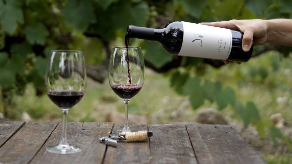 Premium Wine Tasting At Spinoglio Winery foto 4