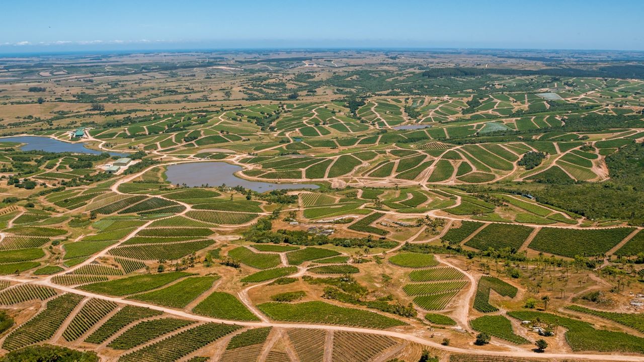 Picnic Experience At Garzon Winery foto 6