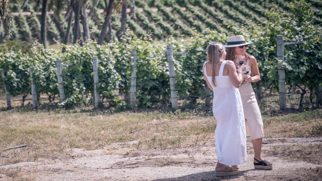 Picnic Experience At Garzon Winery foto 7