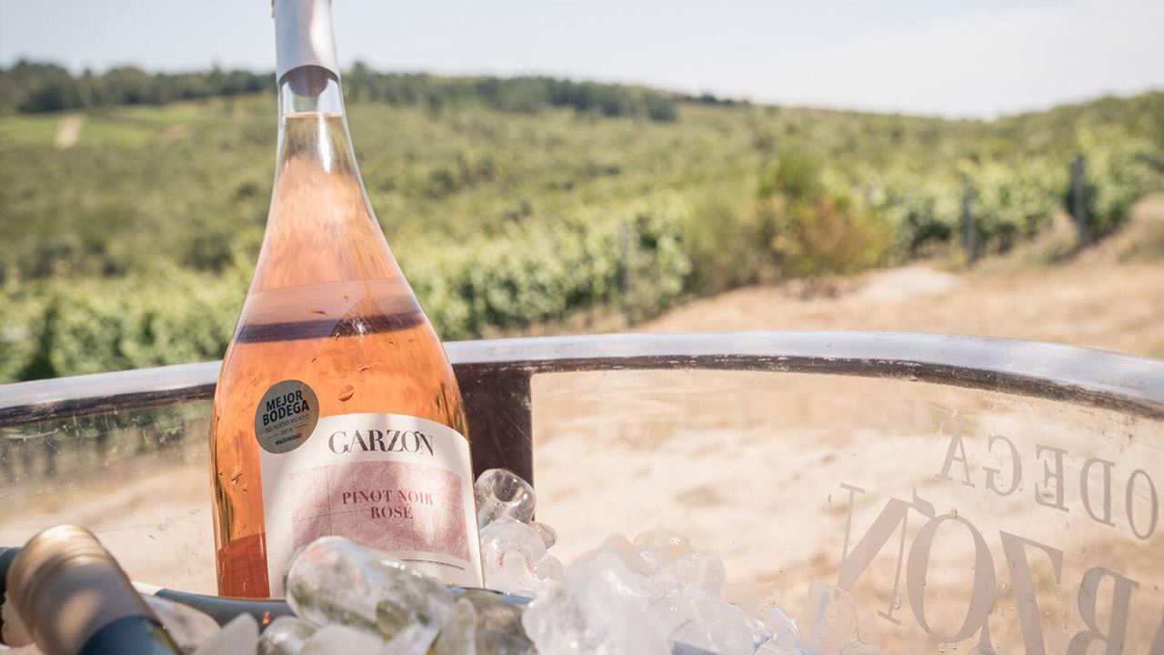 Picnic Experience At Garzon Winery foto 3