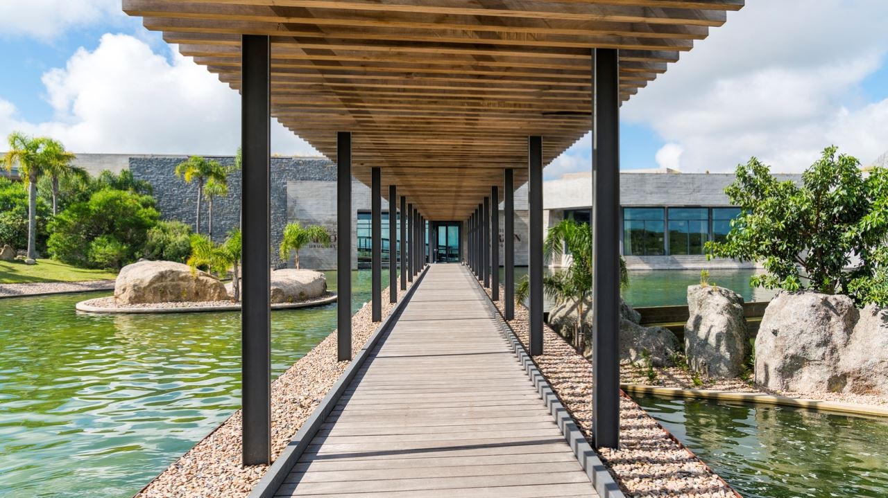 Premium Experience At Bodega Garzón foto 4