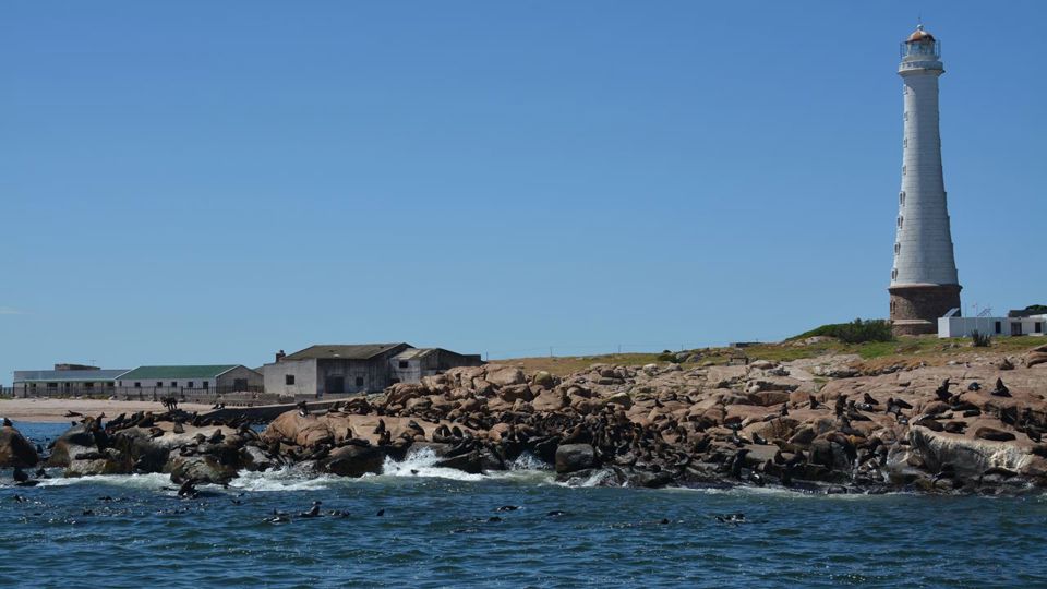 Punta Del Este Full Fay Tour foto 5