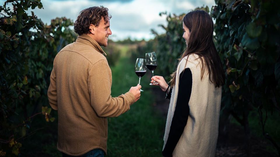 Tour Y Degustación De Vinos Uruguayos En Bodega Pizzorno foto 4