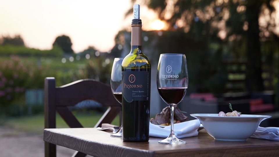 Tour Y Degustación De Vinos Uruguayos En Bodega Pizzorno foto 1