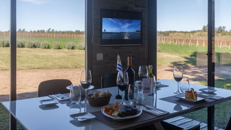 Tour Y Degustación De Vinos Uruguayos En Bodega Pizzorno foto 5