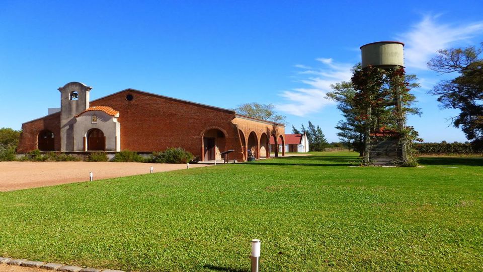 Visita E Degustação À Adega Com Almoço foto 7