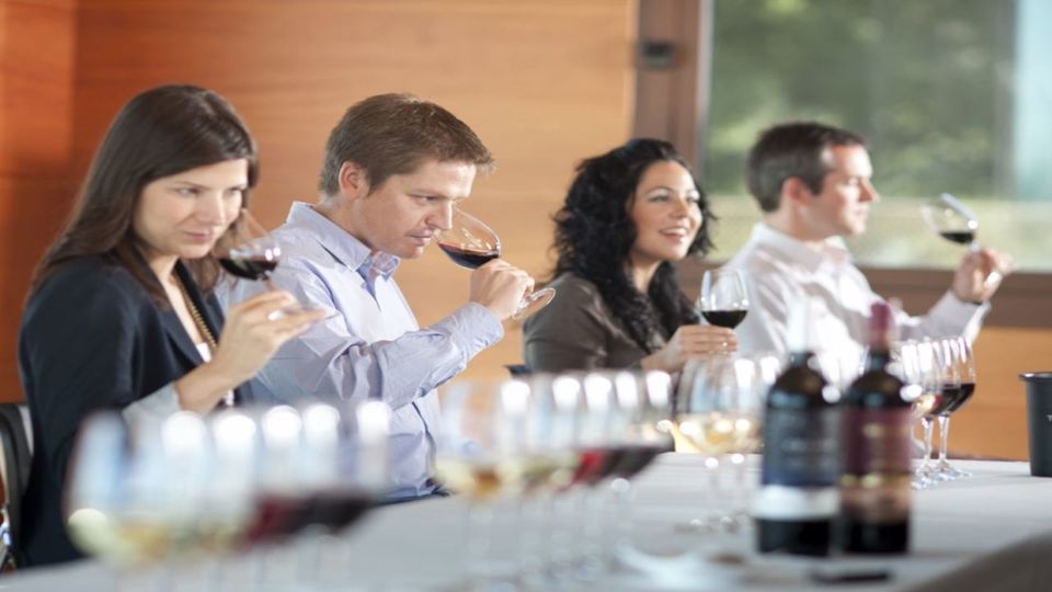 Visita E Degustação À Adega Com Almoço foto 5