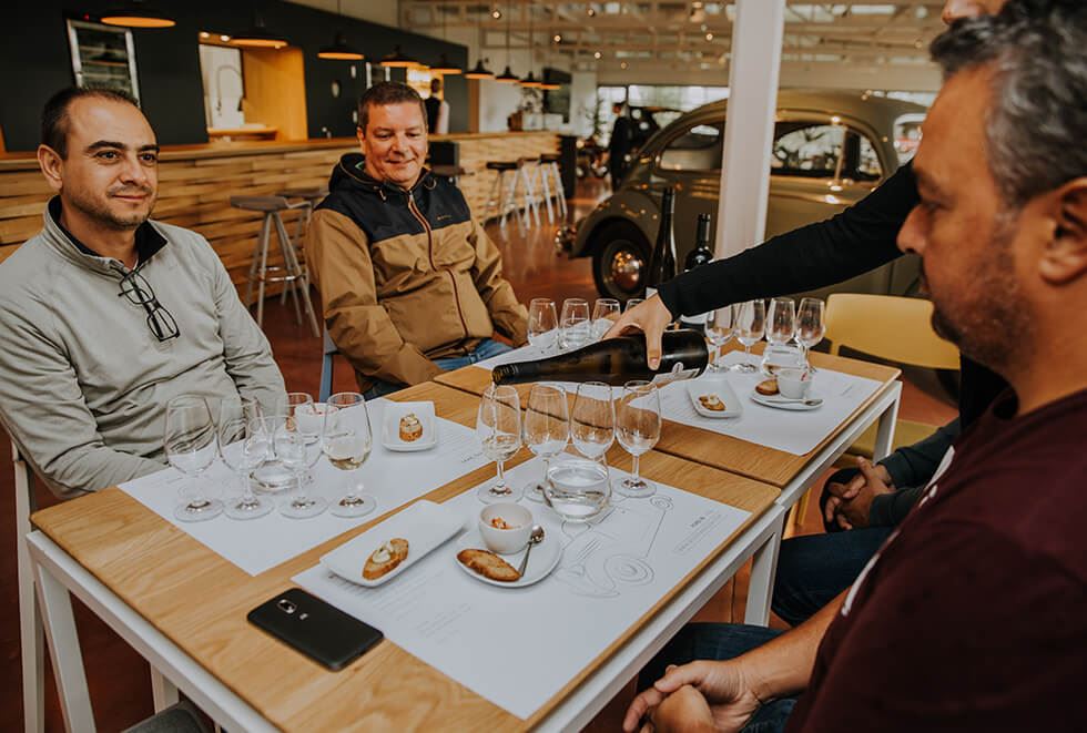 Visit, Tasting And Lunch At Bouza Winery (0)