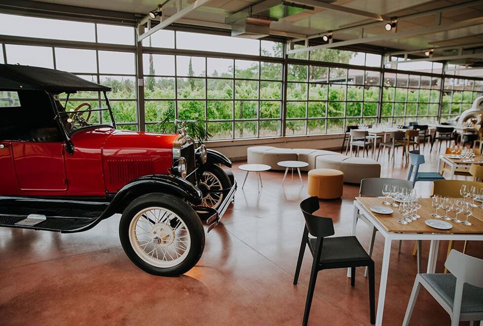 Visita, Degustação E Almoço Na Vinícola Bouza foto 4