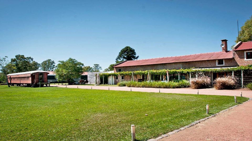 Visit And Tasting At Bouza Winery foto 3