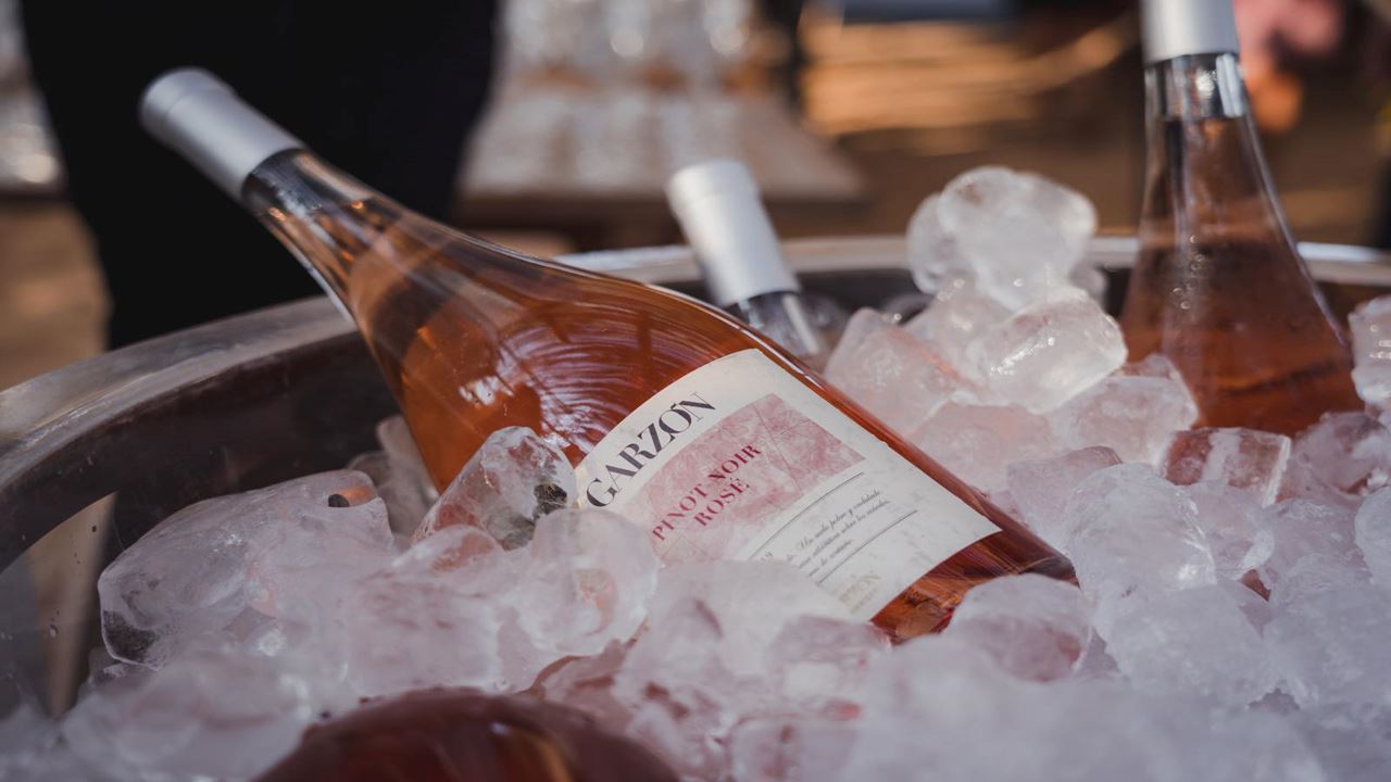 Premium Visit And Tasting At Garzón Winery foto 8