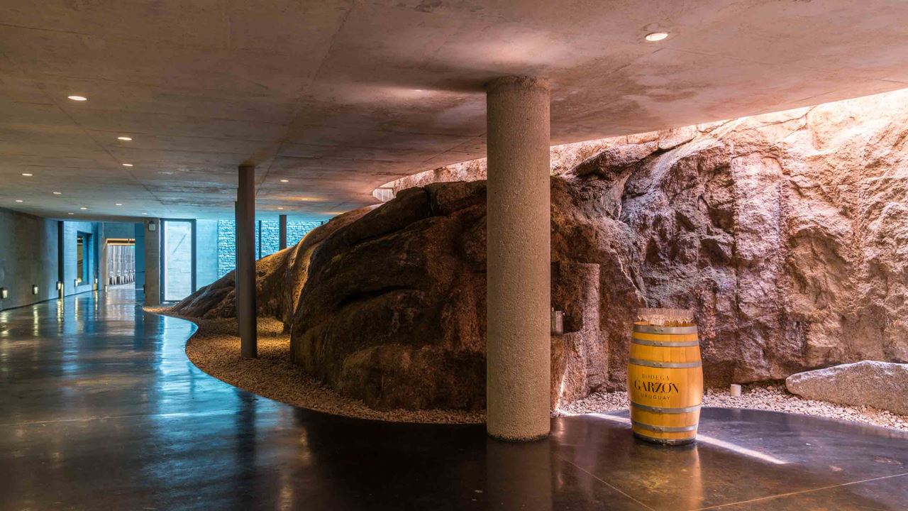 Premium Visit And Tasting At Garzón Winery foto 2